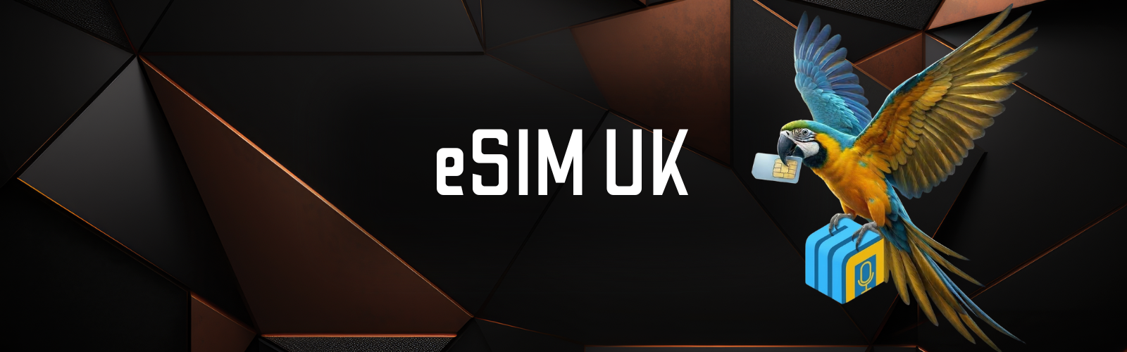 Pay As You Go Esim Uk No Contract Business Connectivity