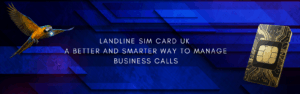 Read more about the article Landline SIM Card UK – A Better and Smarter Way to Manage Business Calls