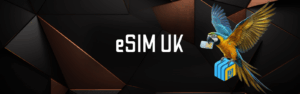 Read more about the article Pay As You Go eSIM UK – No Contract Business Connectivity